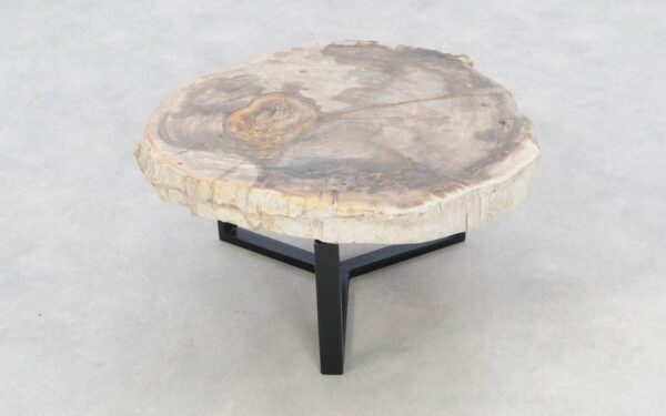 Mesa de centro madera petrificada 46187