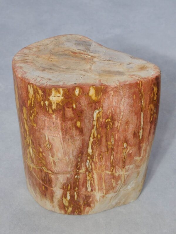 Mesilla madera petrificada 44001