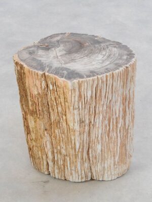 Mesilla madera petrificada 47035