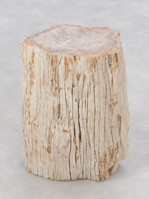 Mesilla madera petrificada 47038