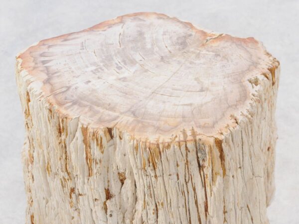 Mesilla madera petrificada 47038
