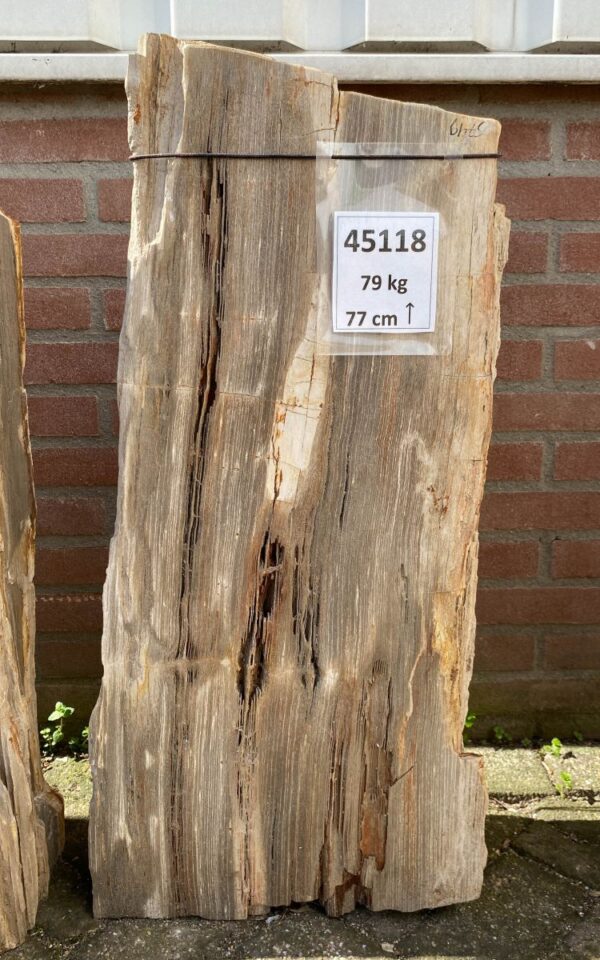 Pierre tombale bois pétrifié 45118