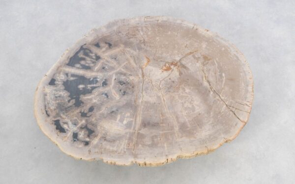 Salontafel versteend hout 46184