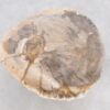 Salontafel versteend hout 46186
