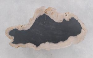 Salontafel versteend hout 46204f