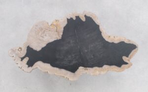 Salontafel versteend hout 46204g