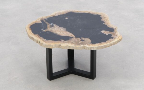 Salontafel versteend hout 46208