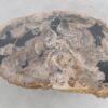 Salontafel versteend hout 47133