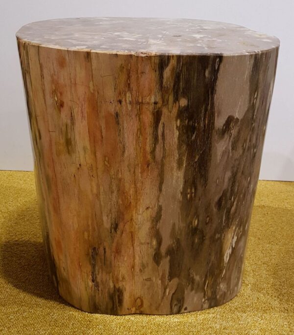 Side table petrified wood 27516