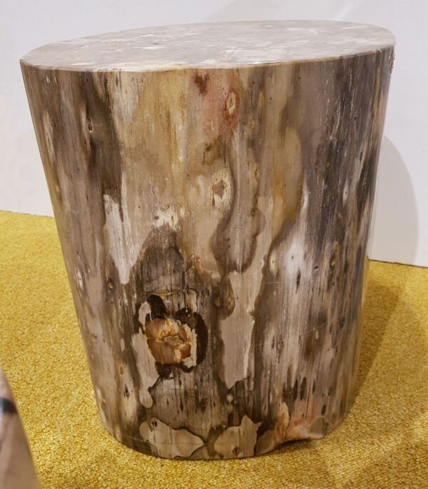 Side table petrified wood 27516
