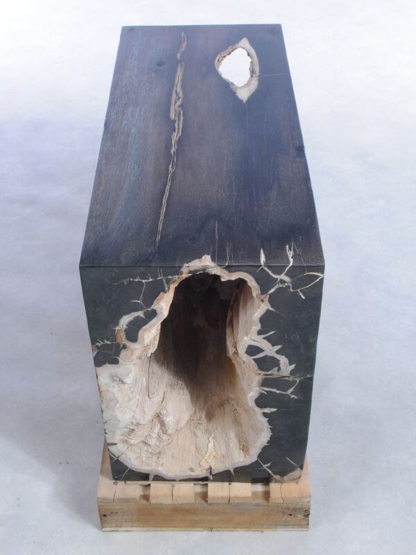 Side table petrified wood 45020