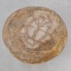 Side table petrified wood 46011