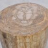 Side table petrified wood 46011