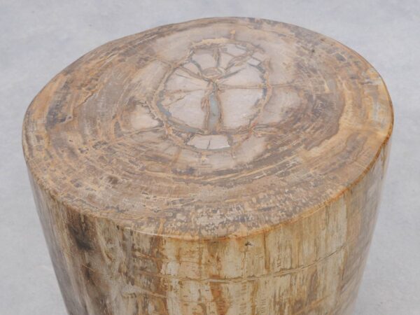 Side table petrified wood 46011
