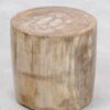 Side table petrified wood 46011