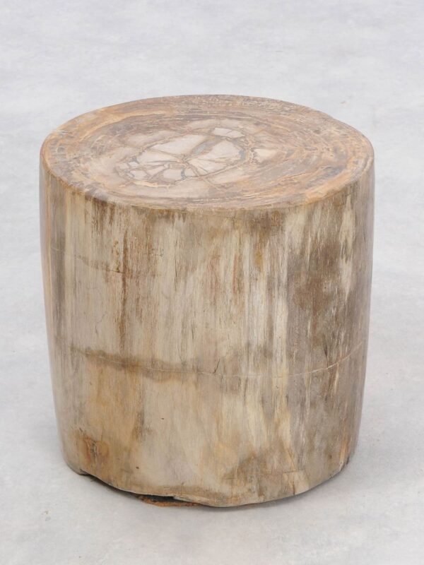 Side table petrified wood 46011