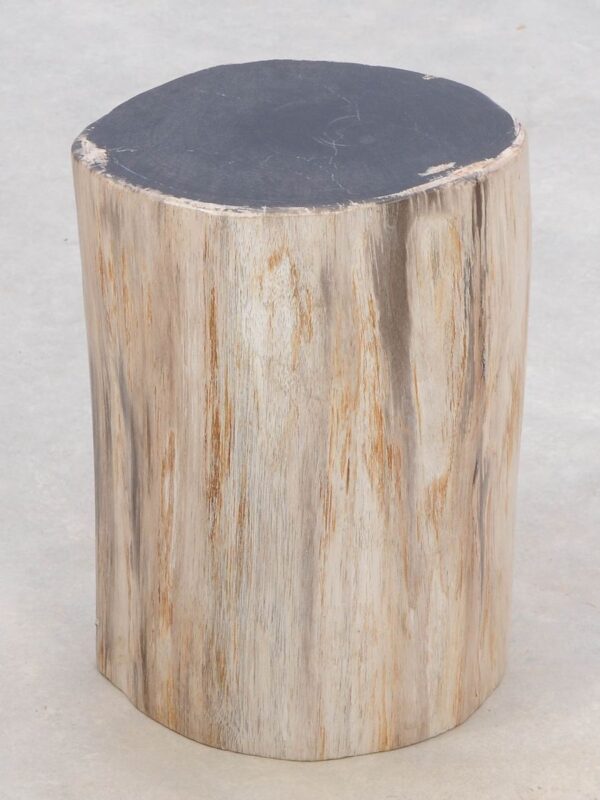 Side table petrified wood 46012