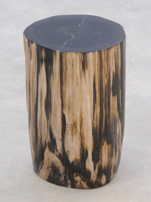 Side table petrified wood 46017
