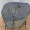 Side table petrified wood 46019