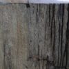 Side table petrified wood 46019