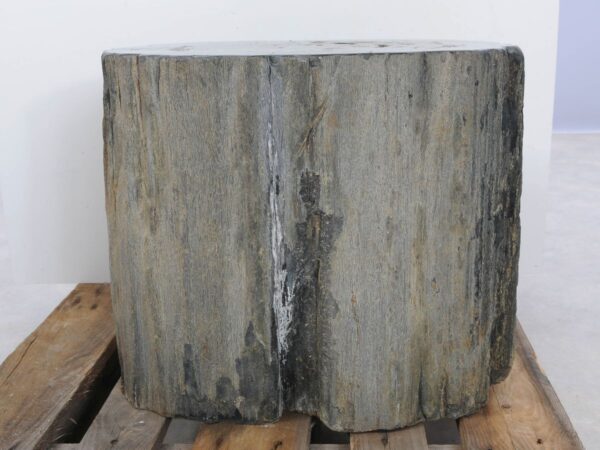 Side table petrified wood 46020