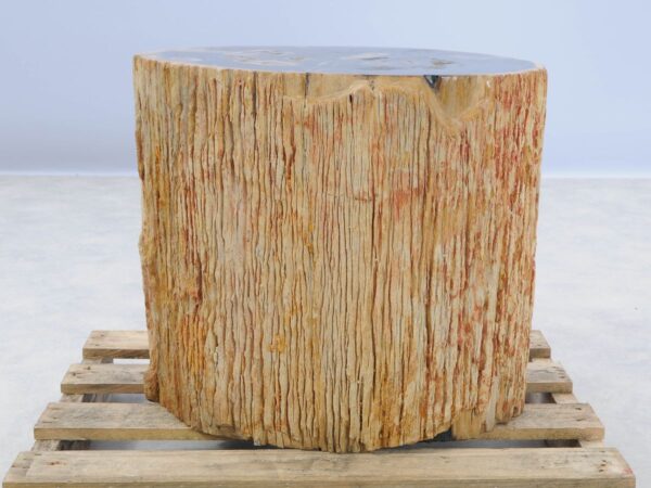 Side table petrified wood 46021
