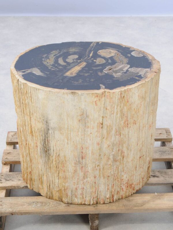 Side table petrified wood 46021