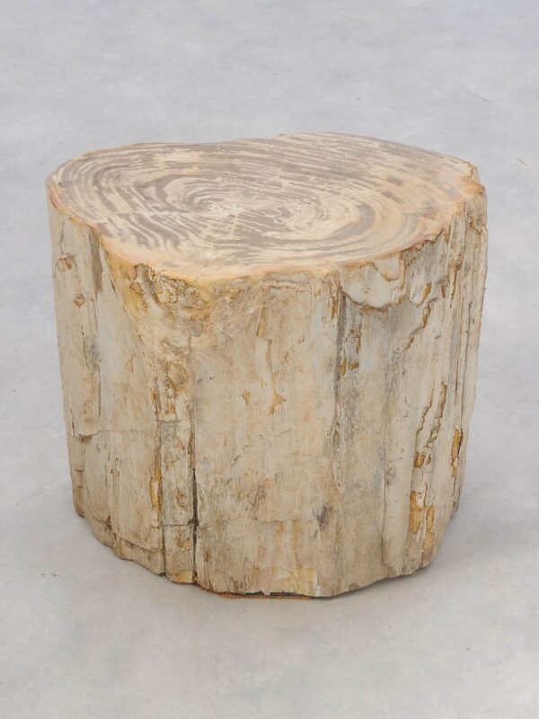 Side table petrified wood 46023
