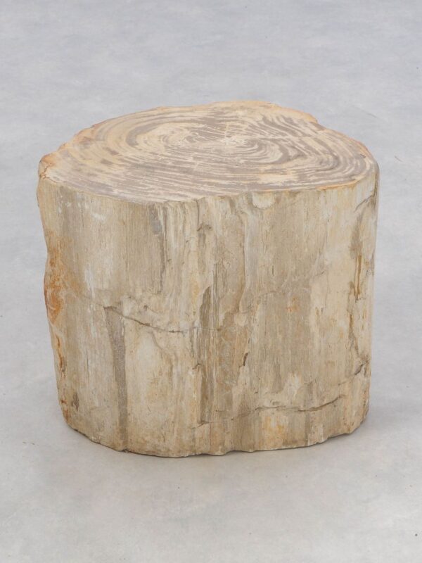 Side table petrified wood 46023