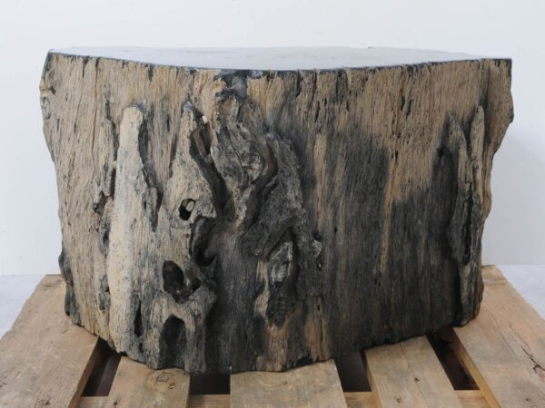 Side table petrified wood 46024
