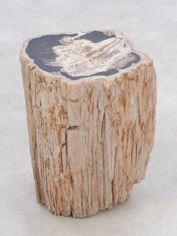 Side table petrified wood 46029