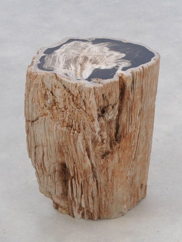 Side table petrified wood 46029