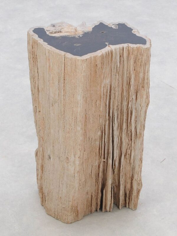 Side table petrified wood 46033