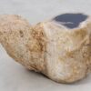 Side table petrified wood 46201