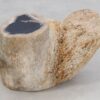 Side table petrified wood 46201