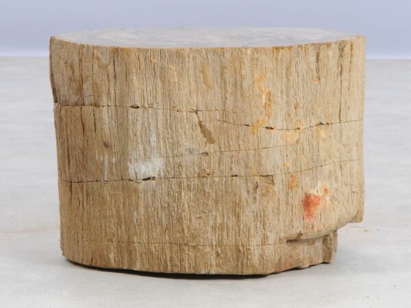 Side table petrified wood 47000