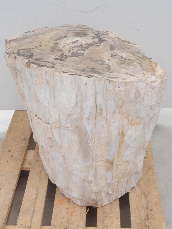 Side table petrified wood 47001