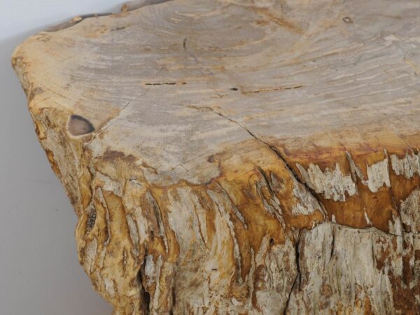 Side table petrified wood 47002
