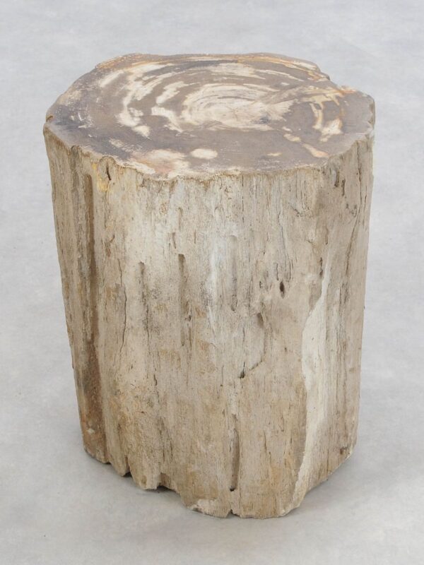 Side table petrified wood 47004
