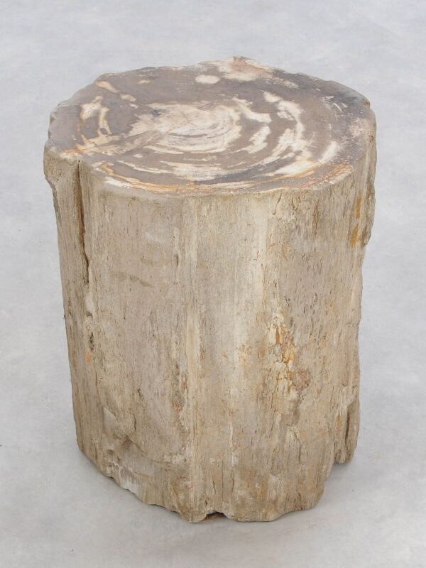 Side table petrified wood 47004