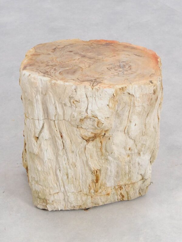 Side table petrified wood 47005