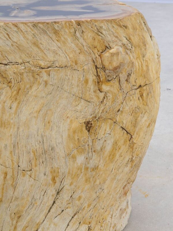 Side table petrified wood 47008