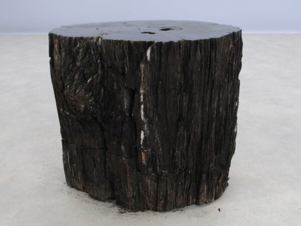 Side table petrified wood 47013