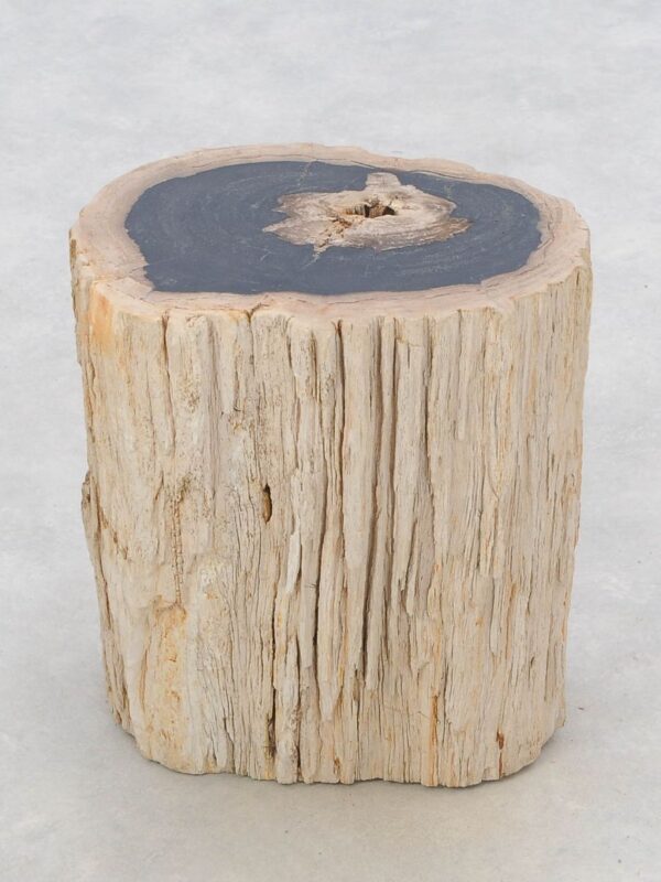 Side table petrified wood 47018