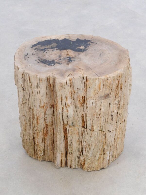 Side table petrified wood 47021