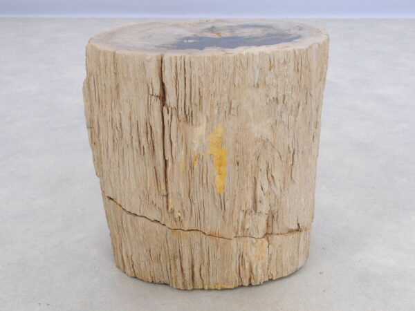 Side table petrified wood 47021