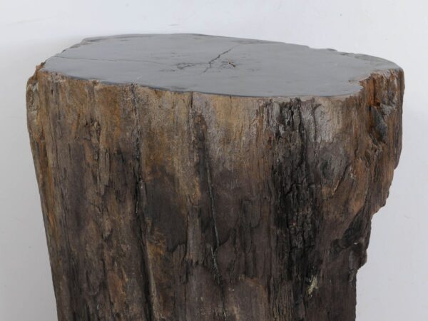 Side table petrified wood 47029
