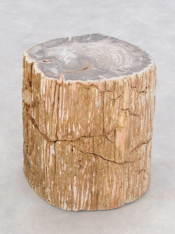 Side table petrified wood 47033