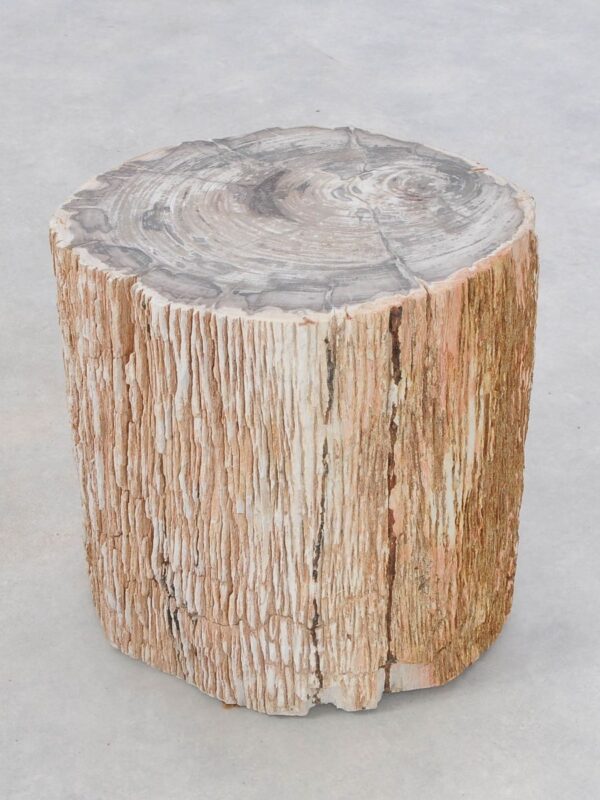 Side table petrified wood 47037