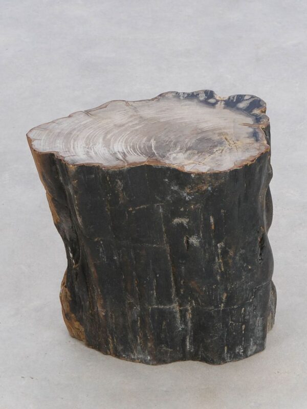 Side table petrified wood 47039